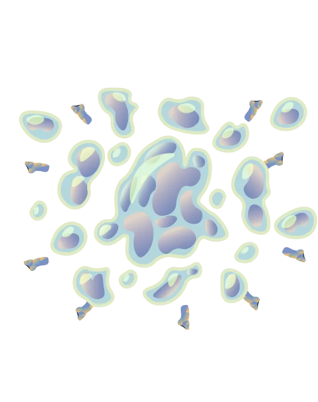 (3) This binding action triggers immune cells to kill the cancer cells.