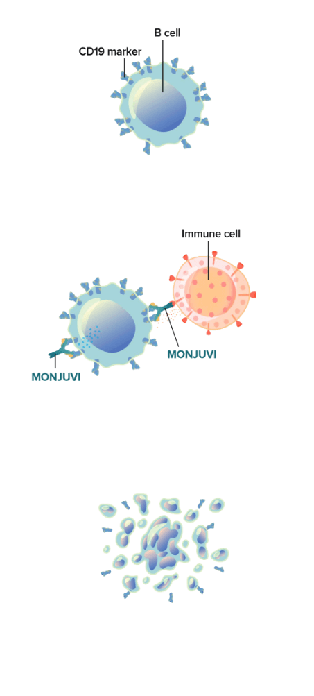 Graphic of a cancerous cell, MONJUVI binding to CD19 marker, and immune cell killing cancer cell.